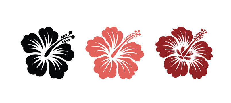 Fototapeta Hibicus flower vector set. Tropical hawaiian floral illustration for summer and beach design.