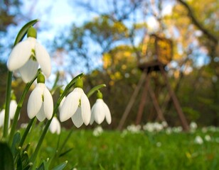 Spring flowers in a grassy meadow with a birdhouse