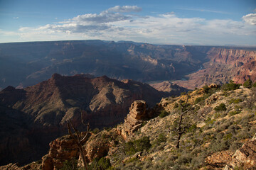 National parks usa southwest grand canyon labyrinth of rock cliffs, terraces, chasms and ravine drilled by Colorado River
