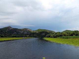 Exploring the Serene Landscapes of Skadar Lake in Montenegro During Tranquil Moments of Nature
