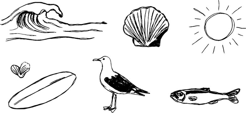 Black and white hand-drawn sketch set of waves, shells, and sea life for design projects