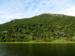 Discover the Serene Beauty of Skadar Lake, Embraced by Lush Mountains and Greenery