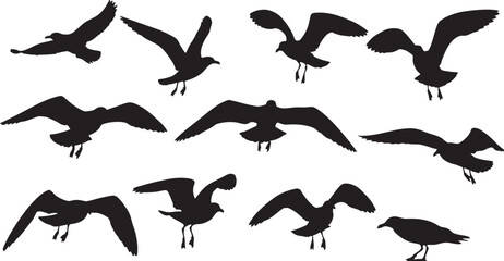 Obraz premium Seagull Silhouettes in Flight and Perched bird flying, seagull, bird, silhouette, flying, flight, soaring, wings, sky, ocean, sea, coast, nature, wildlife, animal, avian, freedom, movement, action, dy