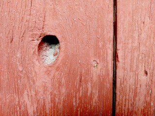 Close-up View of a Weathered Board Door Showcasing Texture and Character in Rustic Setting