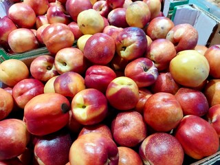 Colorful Nectarine Fruits Arranged in a Market Stall During a Sunny Afternoon
