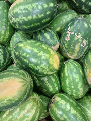 Bright close-up of fresh watermelons with green rinds, dark stripes, and yellow patches. Unique angle highlights texture and natural flaws, creating a striking accent. 
