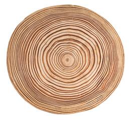 Cut, slice, section of larch tree wood isolated on a white background.  Macro shot of a cut larch tree with annual rings. Stump, trunk of an old tree.