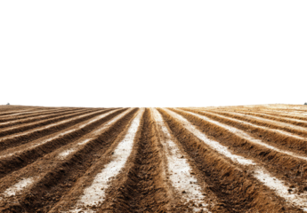Plowed field, rows of furrows