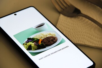 Prato de refeição com arroz, carne e legumes.