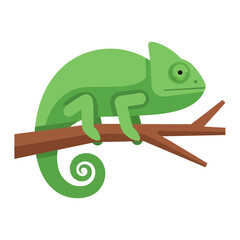 Green chameleon resting on a brown branch against a white background.