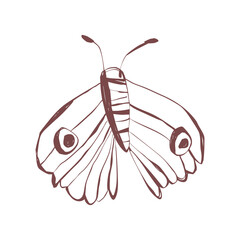 Minimalist hand drawn moth with ornate wings line art for boho tattoo sticker stationery and gift projects Vector illustration