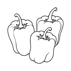 vector illustration of a bell pepper