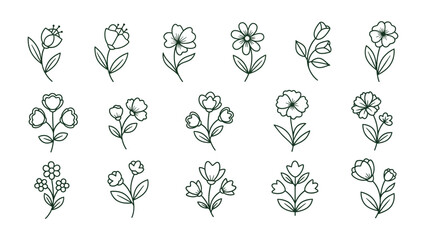 Elegant Floral Collection: Delicate line art showcases an array of meticulously crafted floral illustrations, embodying grace, simplicity, and the essence of botanical beauty.