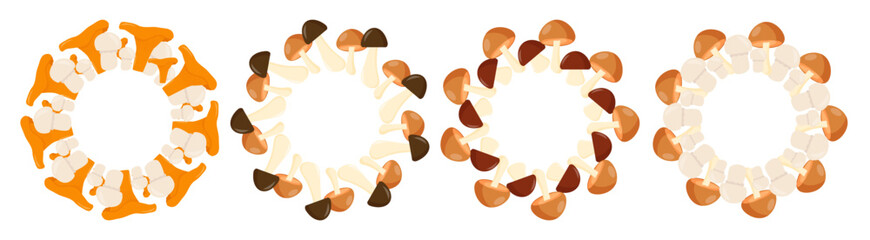 A collection of various mushrooms arranged in a circular pattern. The mushrooms display different colors and shapes, showcasing their natural diversity