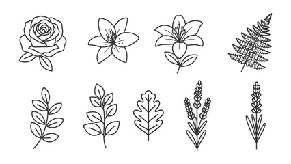 Floral Sketch Collection: An elegant array of botanical illustrations, showcasing a rose, lilies, and other delicate flora, perfect for adding a touch of nature's grace to any creative project.
