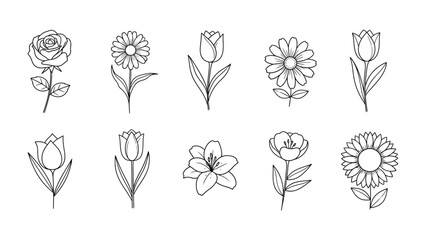 Floral Illustration: A delicate artistic vector line art collection features a variety of meticulously drawn flower illustrations, showcasing their elegant forms.