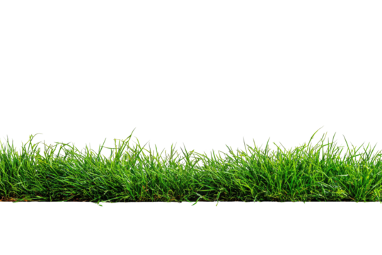 Lush green grass line against a black background