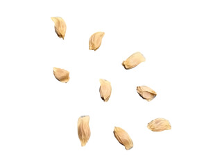 Organic pomelo seeds isolated for creative use