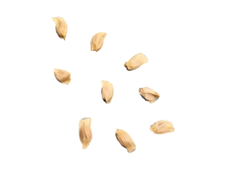 Organic pomelo seeds isolated for creative use
