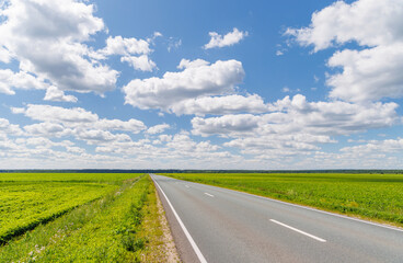 Endless asphalt road stretching through a summer landscape of green fields under a sunny sky