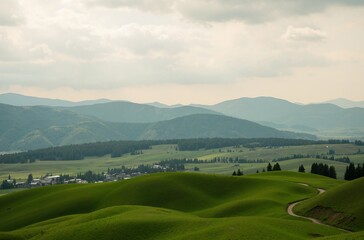 landscape with green grass and blue sky