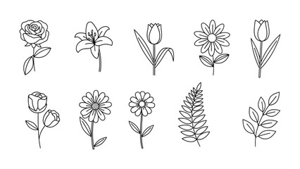 Floral Symphony: A Delicate Collection of Hand-Drawn Blooms 