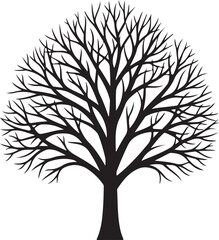Obraz premium Black Silhouette of a Bare Tree with Intricate Branching Structure white
