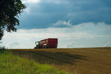 Fototapeta premium Combine harvester and tractor working in golden wheat field