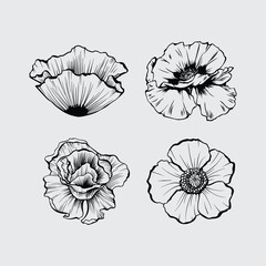 Fototapeta premium Hand drawn rose silhouette