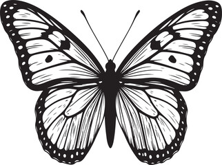 butterfly vector in silhouette