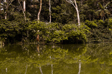 Nature trail and beautiful clean waterfall