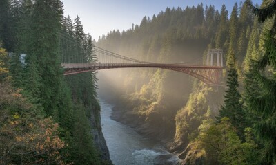 Obraz premium Misty mountain bridge over river gorge