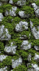 Moss grows on Rock Wall during Day