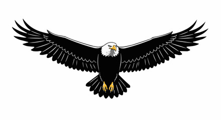 Obraz premium american bald eagle