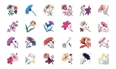 Collection of 24 Beautiful Colorful Flower Illustrations Featuring Daisies, Tulips, Hibiscus, Sunflowers, Plumeria, Roses, Lilies, Lavender, and Mixed Botanical Art Elements in Elegant Hand-Drawn Sty