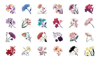 Collection of 24 Beautiful Colorful Flower Illustrations Featuring Daisies, Tulips, Hibiscus, Sunflowers, Plumeria, Roses, Lilies, Lavender, and Mixed Botanical Art Elements in Elegant Hand-Drawn Sty