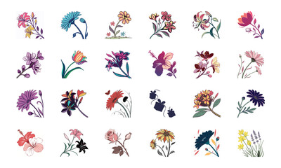Collection of 24 Beautiful Colorful Flower Illustrations Featuring Daisies, Tulips, Hibiscus, Sunflowers, Plumeria, Roses, Lilies, Lavender, and Mixed Botanical Art Elements in Elegant Hand-Drawn Sty