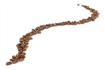 a long necklace made of coffee beans on a white background