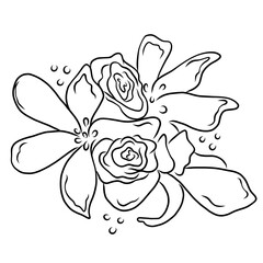 Fototapeta premium Wedding illustration clip art svg vector line art l