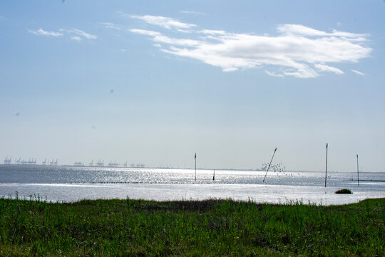 Nordseek&uuml;ste in Fedderwardersiel aus der Gemeinde Butjadingen am Morgen.