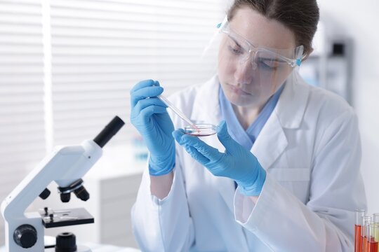 Scientist working with sample in Petri dish in laboratory