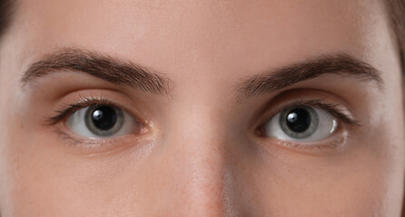 Obraz premium Eyebrow styling. Young woman with beautiful eyebrows, closeup