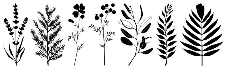 Obraz premium PNG Silhouettes of diverse botanical elements, element set on transparent background