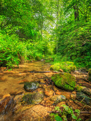 Fototapeta premium Picture of the Aguzou stream in the mountains of southern France with small waterfalls, rocks, forest and green vegetation. Very close to the small village of Escouloubre in the Pyrenees Mountains 