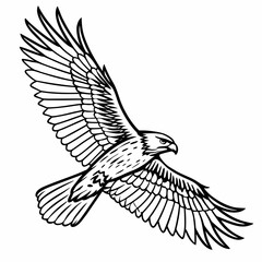 eagle vector illustration