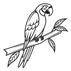 parrot on a branch