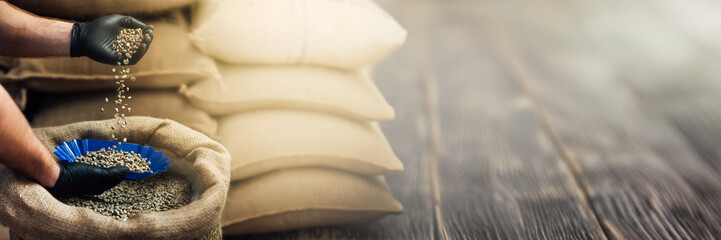 Coffee Beans in Wide Banner with Copy Space