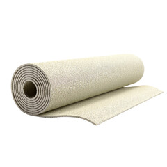 Fototapeta premium roll of toilet paper