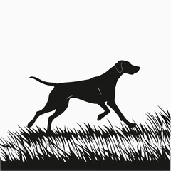 Dog running through field silhouette