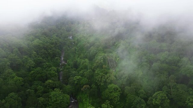 Drone aerial view of dense rainforest in Wayanad, Kerala, India. Thick monsoon fog moves slowly through the green forest canopy creating a mysterious and dramatic landscape.